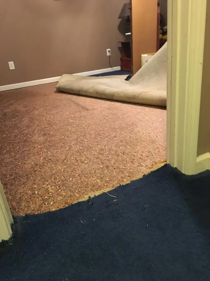 Carpet pad removal revealing water damage during Water Mitigation Services in Hyde Park