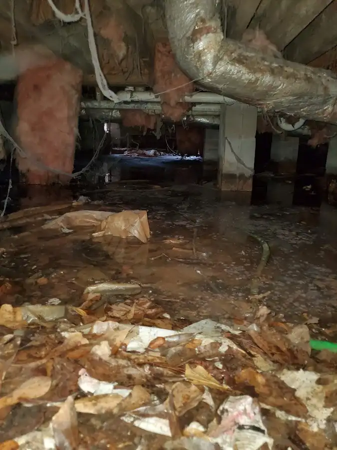 Crawl space flood assessment for Leak Detection & Repair in Hyde Park