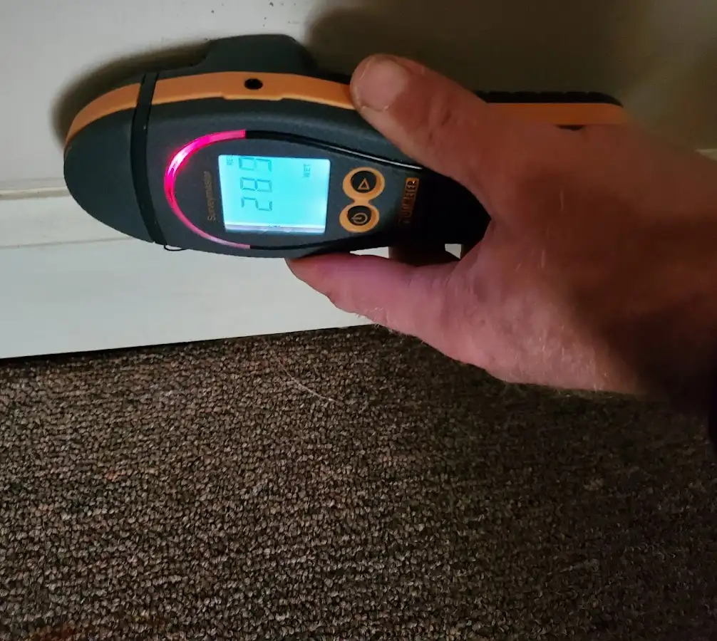Moisture detection at baseboard during Mold Inspection & Testing in Hyde Park